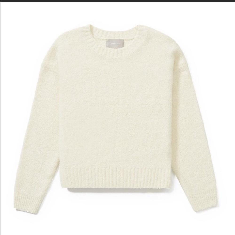 Everlane Teddy Crew Neck Sweater